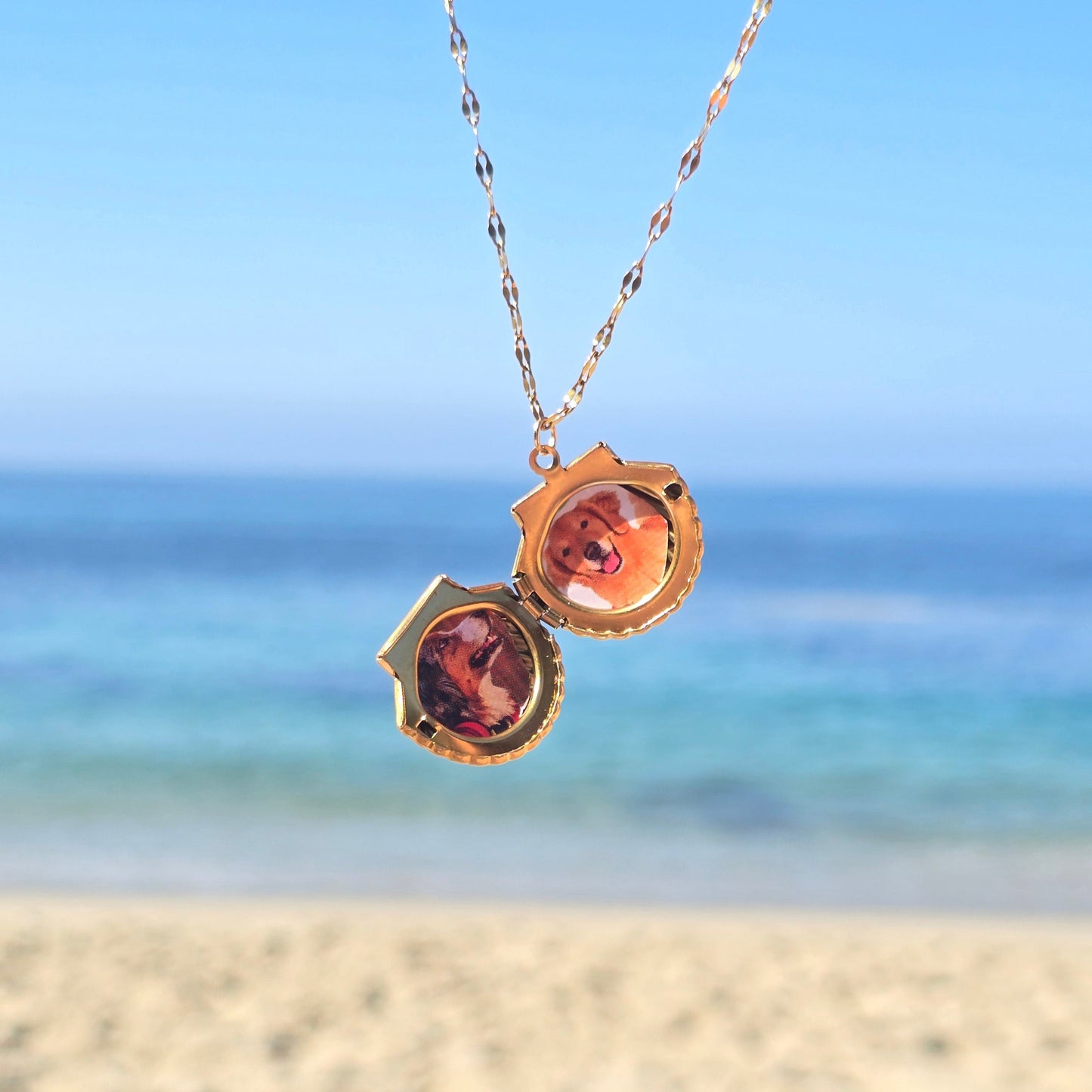 Shell Life Locket Necklace
